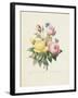 Variety of Yellow Roses and Bengal Roses-Pierre Joseph Redout?-Framed Giclee Print