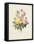 Variety of Yellow Roses and Bengal Roses-Pierre Joseph Redout?-Framed Stretched Canvas