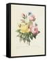 Variety of Yellow Roses and Bengal Roses-Pierre Joseph Redout?-Framed Stretched Canvas