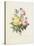 Variety of Yellow Roses and Bengal Roses-Pierre Joseph Redout?-Stretched Canvas