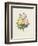 Variety of Yellow Roses and Bengal Roses-Pierre Joseph Redout?-Framed Giclee Print