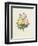 Variety of Yellow Roses and Bengal Roses-Pierre Joseph Redout?-Framed Giclee Print