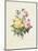 Variety of Yellow Roses and Bengal Roses-Pierre Joseph Redout?-Mounted Giclee Print