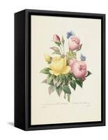 Variety of Yellow Roses and Bengal Roses-Pierre Joseph Redout?-Framed Stretched Canvas