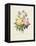 Variety of Yellow Roses and Bengal Roses-Pierre Joseph Redout?-Framed Stretched Canvas