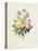 Variety of Yellow Roses and Bengal Roses-Pierre Joseph Redout?-Stretched Canvas