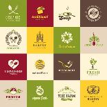 Set Of Icons For Organic Food-varijanta-Stretched Canvas