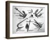 Various Anchors, December 1948-null-Framed Art Print