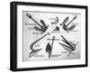 Various Anchors, December 1948-null-Framed Art Print