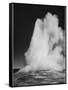 Various Angles During Eruption. "Old Faithful Geyser Yellowstone National Park" Wyoming  1933-1942-Ansel Adams-Framed Stretched Canvas