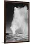 Various Angles During Eruption. "Old Faithful Geyser Yellowstone National Park" Wyoming  1933-1942-Ansel Adams-Framed Art Print