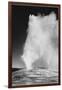 Various Angles During Eruption. "Old Faithful Geyser Yellowstone National Park" Wyoming  1933-1942-Ansel Adams-Framed Art Print