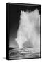 Various Angles During Eruption. "Old Faithful Geyser Yellowstone National Park" Wyoming  1933-1942-Ansel Adams-Framed Stretched Canvas