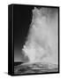 Various Angles During Eruption. "Old Faithful Geyser Yellowstone National Park" Wyoming  1933-1942-Ansel Adams-Framed Stretched Canvas