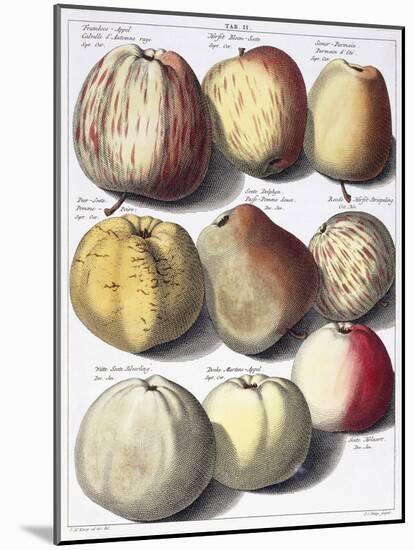 Various Apples, 1758-Johann Hermann Knoop-Mounted Giclee Print