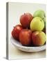 Various Apples on a Stone Plate-Bayside-Stretched Canvas