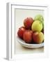 Various Apples on a Stone Plate-Bayside-Framed Photographic Print