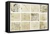 Various Bacilli Observed by Robert Koch-Science Source-Framed Stretched Canvas