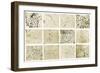 Various Bacilli Observed by Robert Koch-Science Source-Framed Giclee Print