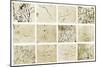 Various Bacilli Observed by Robert Koch-Science Source-Mounted Giclee Print