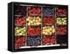 Various Berries-Martina Meuth-Framed Stretched Canvas