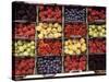 Various Berries-Martina Meuth-Stretched Canvas