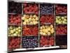 Various Berries-Martina Meuth-Mounted Photographic Print