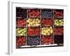 Various Berries-Martina Meuth-Framed Photographic Print