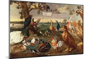 Various Birds-Frans Snyders Or Snijders-Mounted Giclee Print