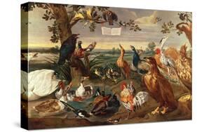 Various Birds-Frans Snyders Or Snijders-Stretched Canvas