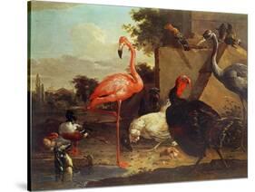 Various Birds-Gillis Claesz d' Hondecoeter-Stretched Canvas