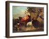 Various Birds-Gillis Claesz d' Hondecoeter-Framed Giclee Print