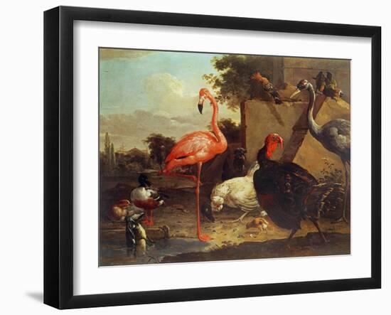 Various Birds-Gillis Claesz d' Hondecoeter-Framed Giclee Print