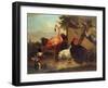 Various Birds-Gillis Claesz d' Hondecoeter-Framed Giclee Print