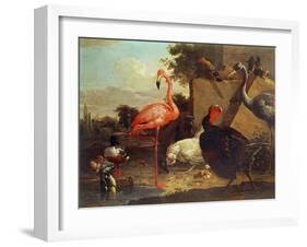 Various Birds-Gillis Claesz d' Hondecoeter-Framed Giclee Print