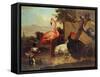 Various Birds-Gillis Claesz d' Hondecoeter-Framed Stretched Canvas