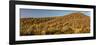 Various cactus plants in a desert, Organ Pipe Cactus National Monument, Arizona, USA-null-Framed Photographic Print