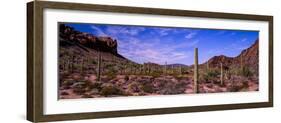 Various cactus plants in a desert, Organ Pipe Cactus National Monument, Arizona, USA-null-Framed Photographic Print