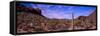 Various cactus plants in a desert, Organ Pipe Cactus National Monument, Arizona, USA-null-Framed Stretched Canvas