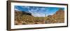 Various cactus plants in a desert, Organ Pipe Cactus National Monument, Arizona, USA-null-Framed Photographic Print