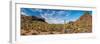 Various cactus plants in a desert, Organ Pipe Cactus National Monument, Arizona, USA-null-Framed Photographic Print