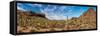 Various cactus plants in a desert, Organ Pipe Cactus National Monument, Arizona, USA-null-Framed Stretched Canvas