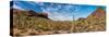 Various cactus plants in a desert, Organ Pipe Cactus National Monument, Arizona, USA-null-Stretched Canvas