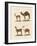 Various Camels-null-Framed Giclee Print