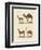 Various Camels-null-Framed Premium Giclee Print