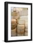 Various Cheeses in a Shop-Eising Studio - Food Photo and Video-Framed Photographic Print