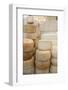 Various Cheeses in a Shop-Eising Studio - Food Photo and Video-Framed Photographic Print