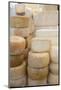 Various Cheeses in a Shop-Eising Studio - Food Photo and Video-Mounted Photographic Print