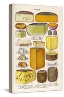 Various Cheeses in Household Management Book-null-Stretched Canvas