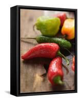 Various Chili Peppers with Drops of Water-null-Framed Stretched Canvas